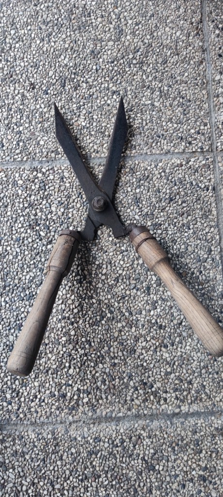 Forbici da potatura